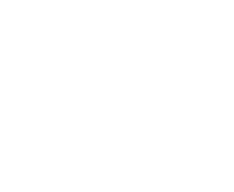 Löwenbergschule